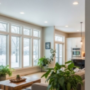 Energy Efficient Remodeling
